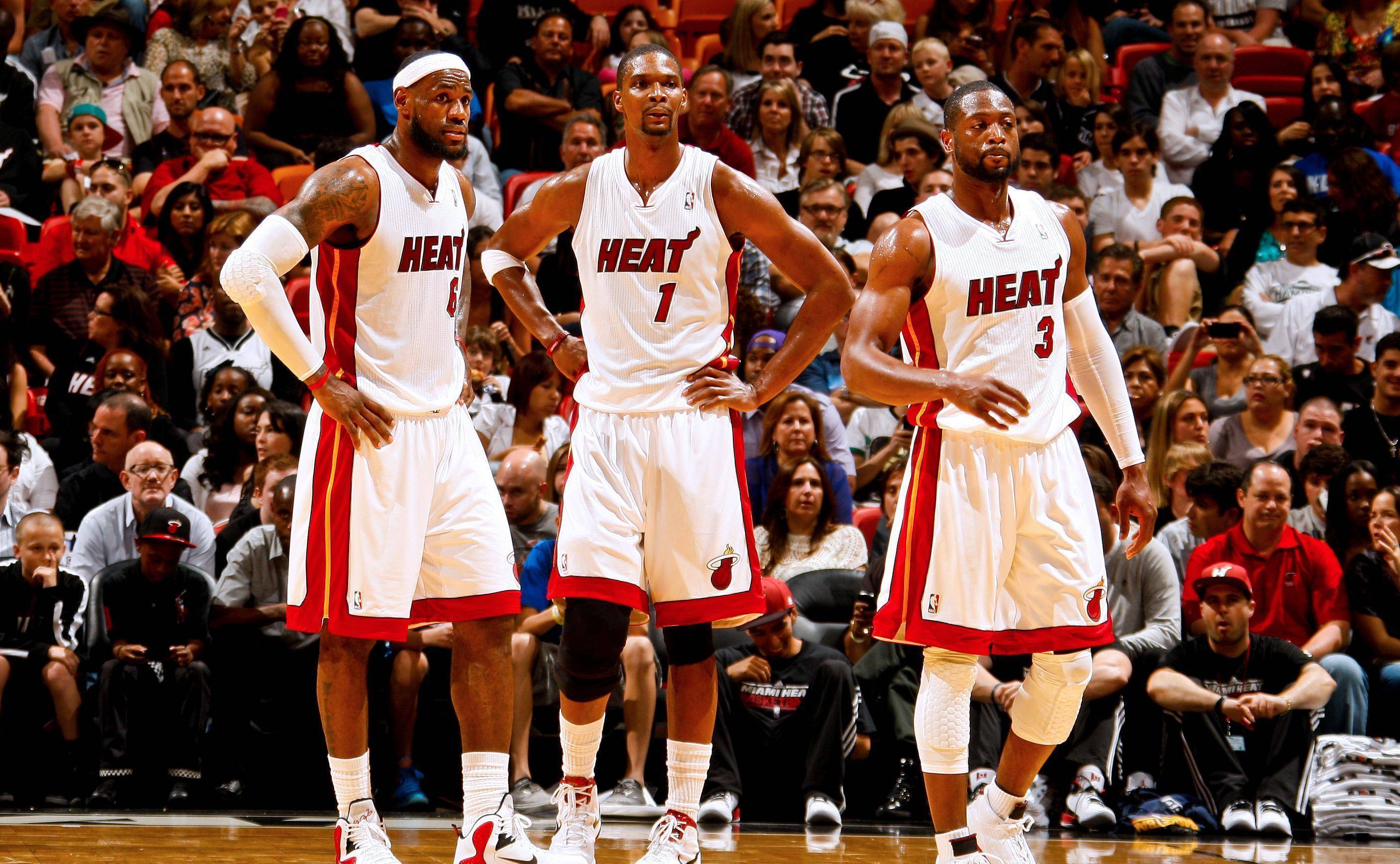 球迷和专家 球迷和专家